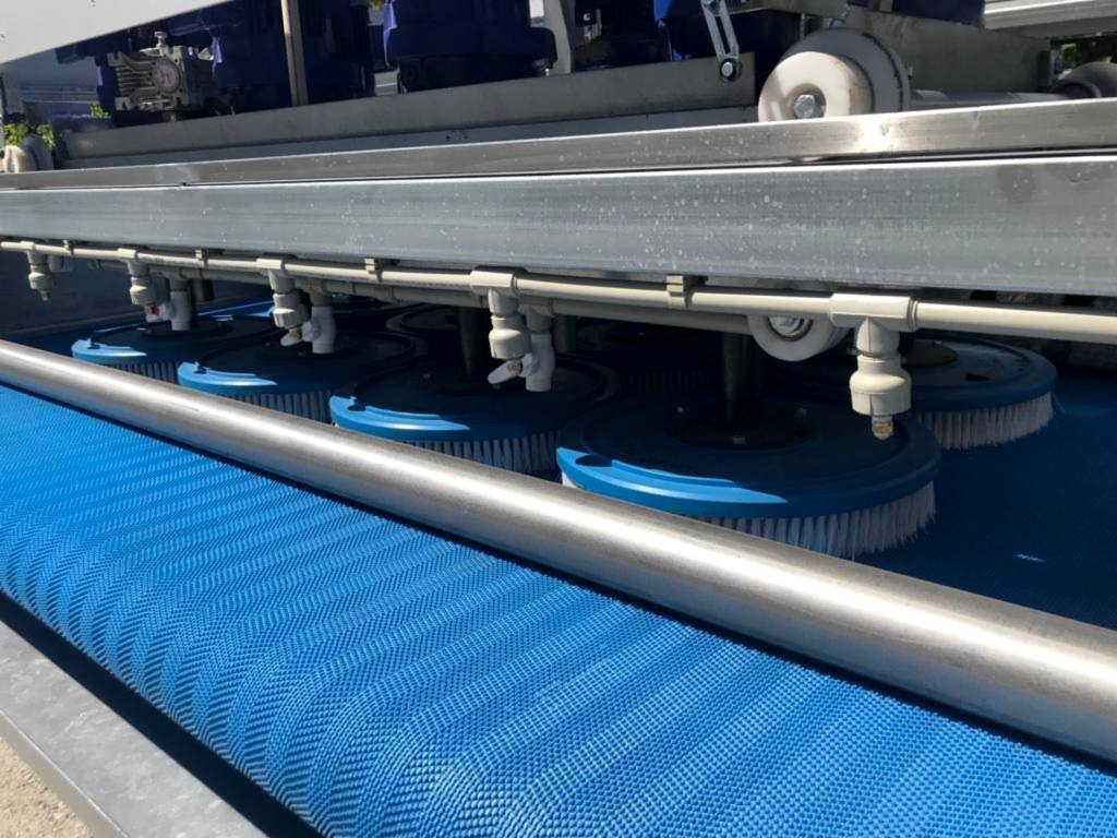 ankaradaki-hali-yakamacilar